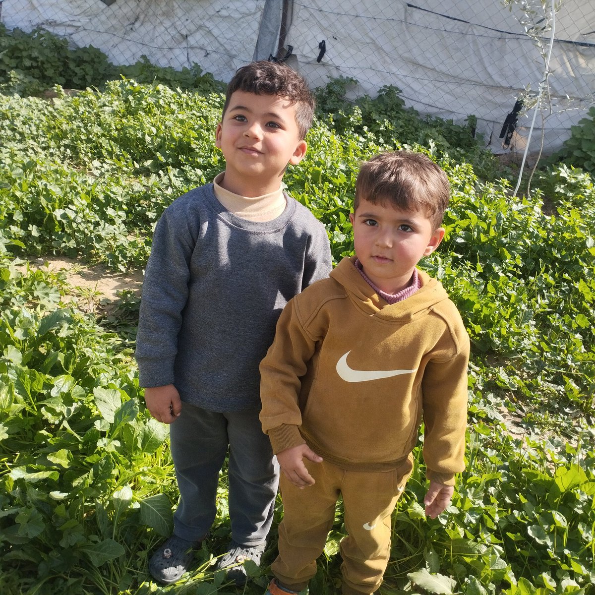 Two of Mai’s sons standing together in a green field